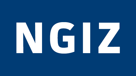 NGIZ Logo